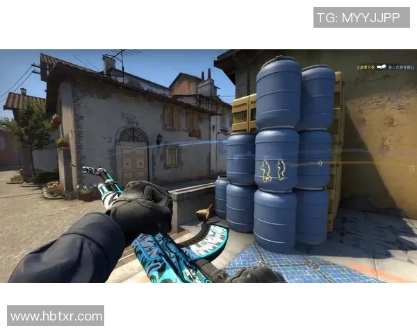 黄秀英的CSGO人生探索与深度对话背后的故事与启示