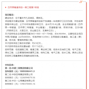 IM体育网址中国采购与招标网